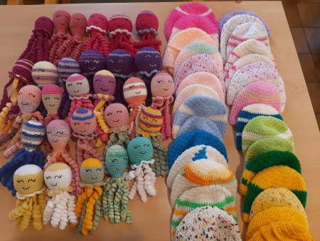 Kapice in hobotnice oktober